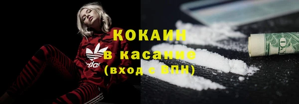 ГАЛЛЮЦИНОГЕННЫЕ ГРИБЫ Белокуриха