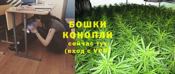 крисы Беломорск