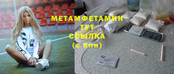 ГАЛЛЮЦИНОГЕННЫЕ ГРИБЫ Белокуриха