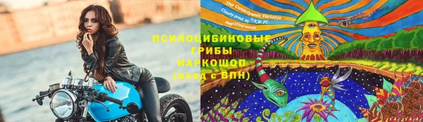 крисы Беломорск