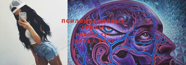 крисы Беломорск